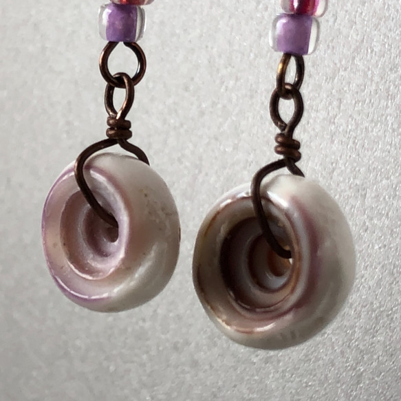 プカシェルのピアス ＊ Puka Shell Pink ＊ Shell 001 3枚目の画像