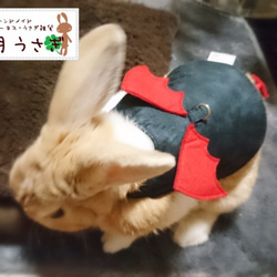 うさぎ用布製スタイ型エリザベスカラー ペット服・アクセサリー D×R by