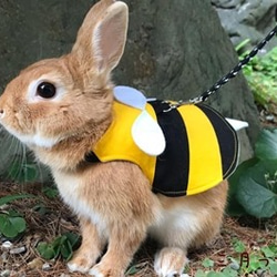 うさぎ用布製スタイ型エリザベスカラー ペット服・アクセサリー D×R by