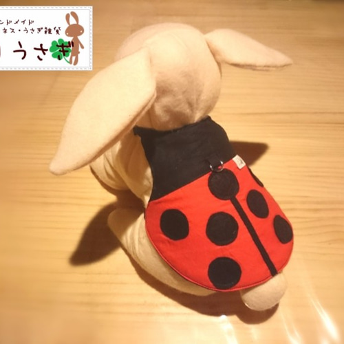 Mうさぎ用ハーネス【てんとう虫Mサイズ】 ペット服