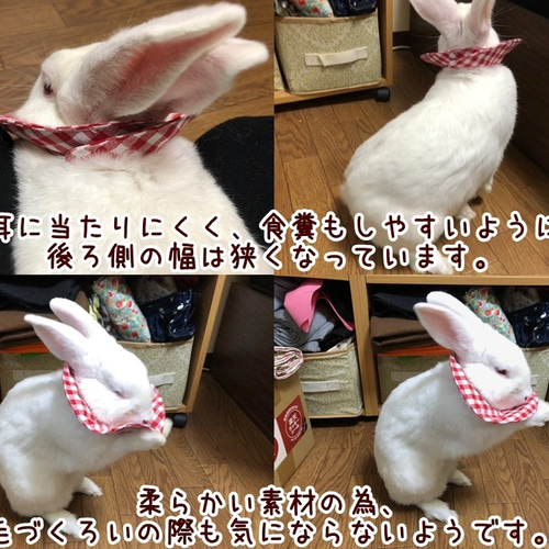 うさぎ用布製スタイ型エリザベスカラー ペット服・アクセサリー