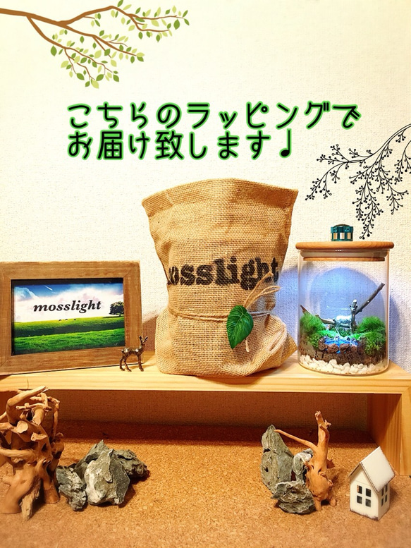 ☆受注生産☆mosslight 泉の森の月灯り フォレストリトルハウス  テラリウムインテリアライト 4枚目の画像