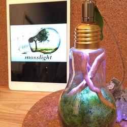 mosslight bulb old tree テラリウムインテリアライト 3枚目の画像