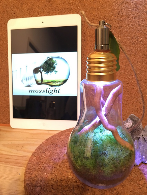 mosslight bulb old tree テラリウムインテリアライト 3枚目の画像