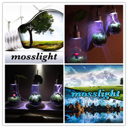 mosslight bulb old tree テラリウムインテリアライト 5枚目の画像