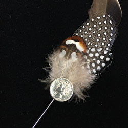 SV900"MARCURY"Coin&Feather Hat Pin Vol.2 2枚目の画像