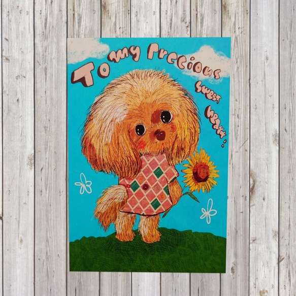 ポストカード4枚セット　Toy Poodle（トイプードル） 2枚目の画像