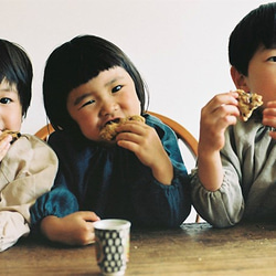 ヴィーガン仕様の無添加クッキーボックス。ちょっとしたプレゼントやご挨拶に。 4枚目の画像