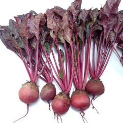 希少な農薬不使用のビーツの酵素シロップ 2枚目の画像