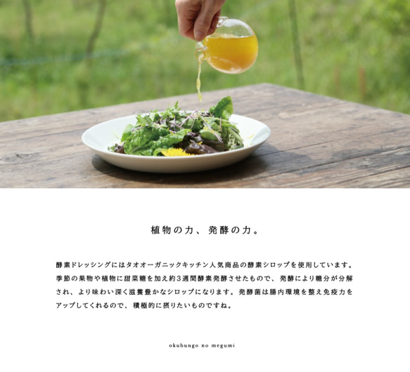 新鮮な野菜にかけるだけで発酵菌が摂れる 酵素ドレッシング5種類セット。贈り物に最適。 2枚目の画像