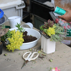 おうちの植木鉢（大）　白 3枚目の画像