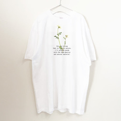 【送料無料】BigTシャツ押し花プリントT/ルッコラ 2枚目の画像