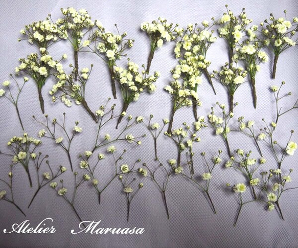 かすみ草のクラッチブーケ&かすみ草のヘッドドレスセット【生花】 ご了承ください