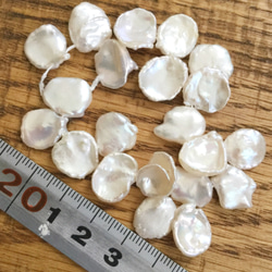 貴重‼︎ 淡水真珠 ケシパール　クレオ花びら 生成り 2枚目の画像