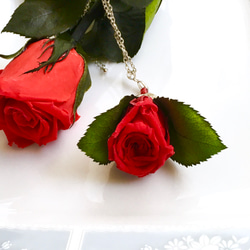 【感謝祭☆送料無料☆2200円→1300円】赤い薔薇のネックレス☆ブリザーブドフラワー濃い赤色 8枚目の画像