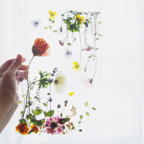 sumika 手鏡 コンパクトミラー 両面鏡 押し花 ボタニカル 花柄 その他