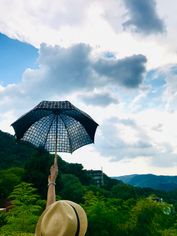 【✳︎刺繡＊ｺｯﾄﾝ＊撥水加工済✳︎バンブー】HiraTen　parasol＊ 2枚目の画像