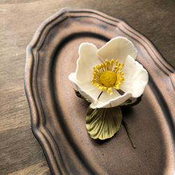 Japanese anemone1 2枚目の画像