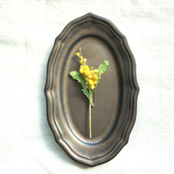 mimosa 1枚目の画像