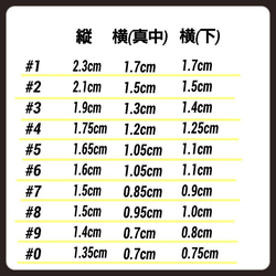 パステル ペイズリー グラデーション ネイルチップ 4枚目の画像