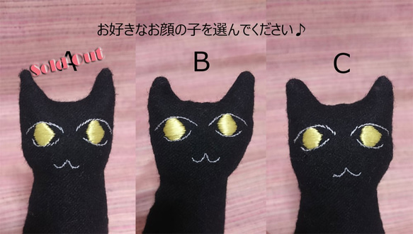 はじめてのおともだち。黒猫さん。 4枚目の画像