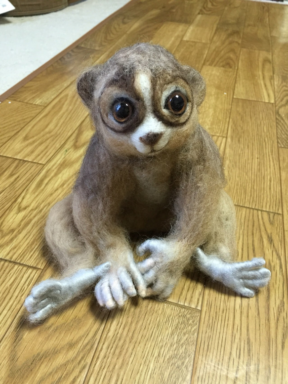 スローロリス 羊毛フェルト tokage日和。 通販 2751006｜Creema