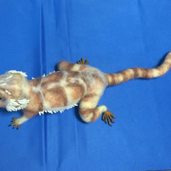 スローロリス 羊毛フェルト tokage日和。 通販 2751006｜Creema