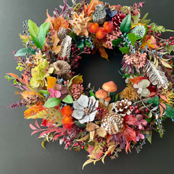 Autumn mushroom wreath III 1枚目の画像