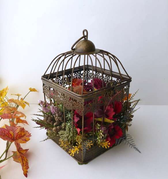 Flower in a cage 4枚目の画像