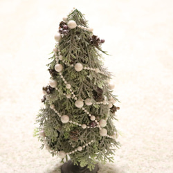シルバーグリーンでちょっと大人っぽく♪クリスマスツリー 1枚目の画像