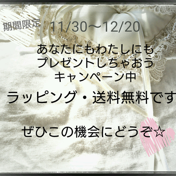 送料無料☆冬にぴったり♥クリスタルな雪の結晶 ピアス/イヤリング 4枚目の画像