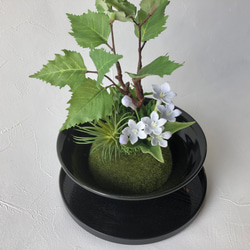 【和モダン】樺の木とブバリアのミニ盆栽アレンジメント 4枚目の画像