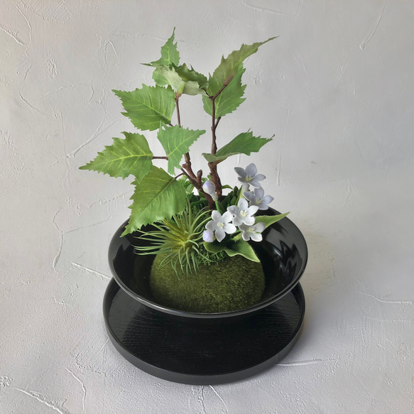 【和モダン】樺の木とブバリアのミニ盆栽アレンジメント 5枚目の画像