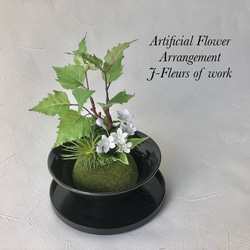 【和モダン】樺の木とブバリアのミニ盆栽アレンジメント 7枚目の画像