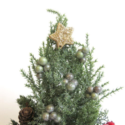 ポインセチアのミニクリスマスツリー 2枚目の画像