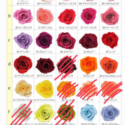プリザーブドローズのお色変更可能＊ミモザとカラーと薔薇の春色コサージュ 4枚目の画像