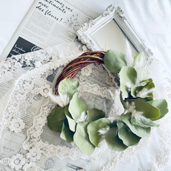 感謝価格＊可愛い丸葉のポポラスオーガニックユーカリのお部屋に