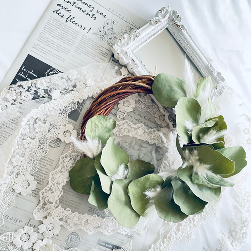 感謝価格＊可愛い丸葉のポポラスオーガニックユーカリのお部屋に