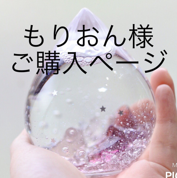 ももみず様 購入ページ（[ もりおん様ご購入ページ]スノードーム  
