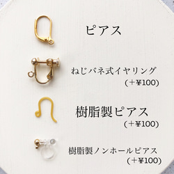 botanical pierce/earring 6枚目の画像