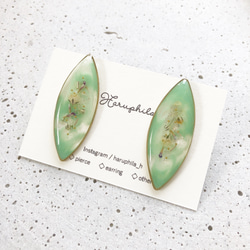 botanical earring 1枚目の画像