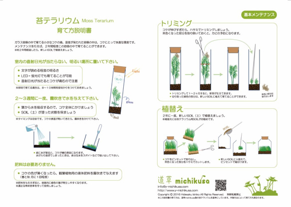 【苔テラリウム】小さなコケの森　Sphere　コツボゴケ 4枚目の画像