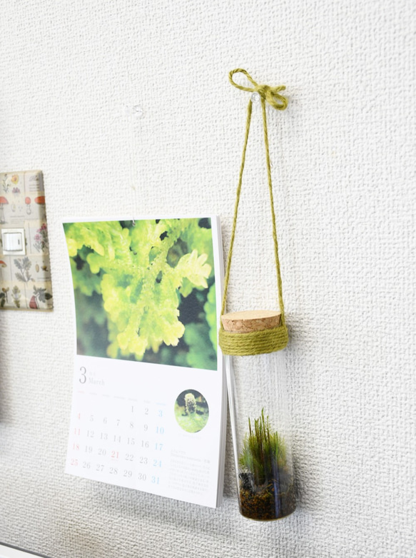 小さなコケの森　吊り下げ試験管　☆紐は４色より選べます 2枚目の画像