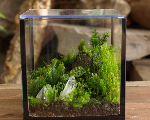 0_13a09ae2ef2f3cd6f7d66ebed4f6