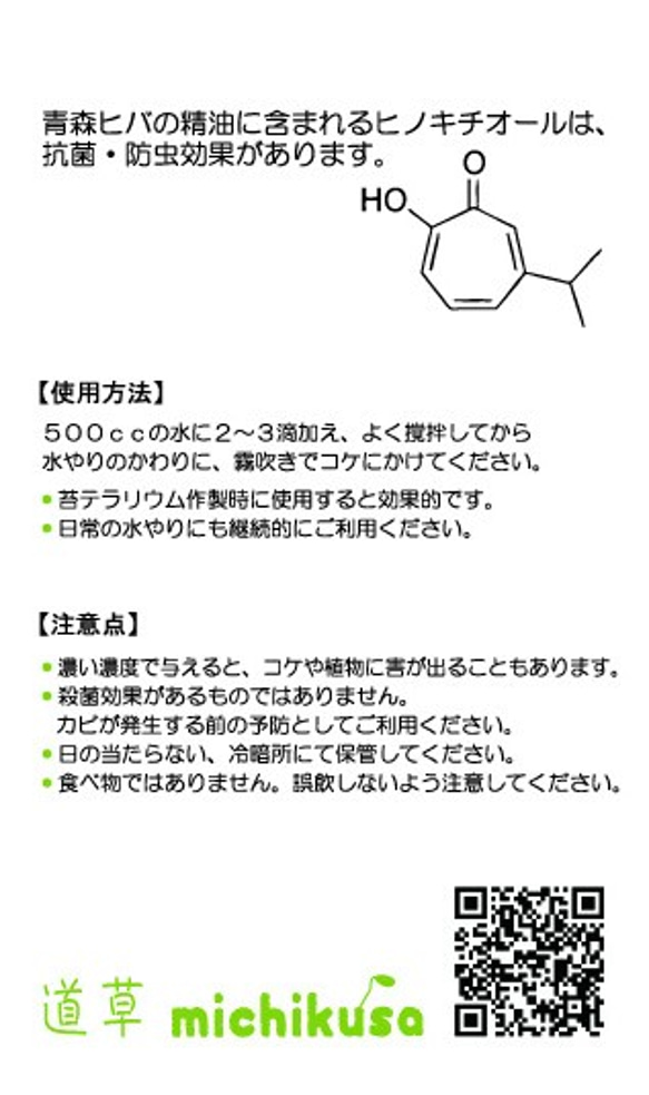  第3張的照片