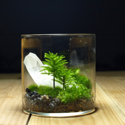 Crystal苔テラリウム 作品NO.CRY122 その他インテリア雑貨 道草