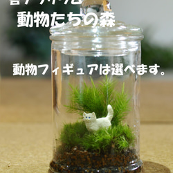 傘を持った動物❤️フィギュア❤️苔テラリウム 苔テラリウム】動物たちの森 ☆選べる動物フィギュア☆彡 テラリウム