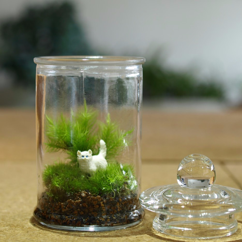 苔テラリウム】動物たちの森 ☆選べる動物フィギュア☆彡 テラリウム