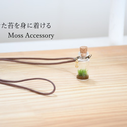 苔アクセサリー　Moss Accessory 1枚目の画像