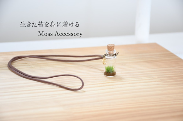 苔アクセサリー　Moss Accessory 1枚目の画像